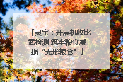 灵宝：开展机收比武检测 筑牢粮食减损“无形粮仓”