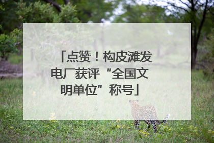 点赞！构皮滩发电厂获评“全国文明单位”称号