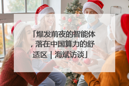爆发前夜的智能体，落在中国算力的舒适区｜海斌访谈
