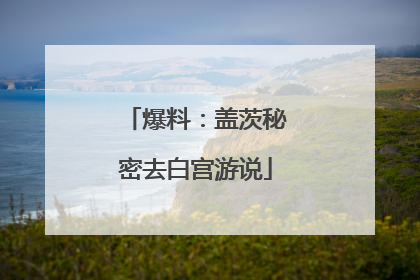 爆料：盖茨秘密去白宫游说