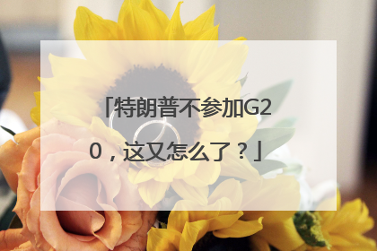 特朗普不参加G20，这又怎么了？