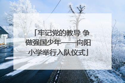 牢记党的教导 争做强国少年——向阳小学举行入队仪式