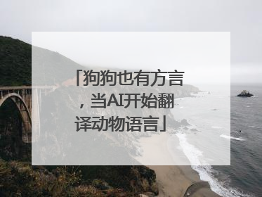 狗狗也有方言，当AI开始翻译动物语言
