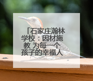石家庄瀚林学校：因材施教 为每一个孩子的幸福人生奠基