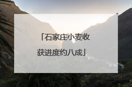 石家庄小麦收获进度约八成