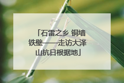 石雷之乡 铜墙铁壁——走访大泽山抗日根据地