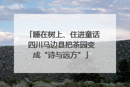 睡在树上、住进童话 四川马边县把茶园变成“诗与远方”