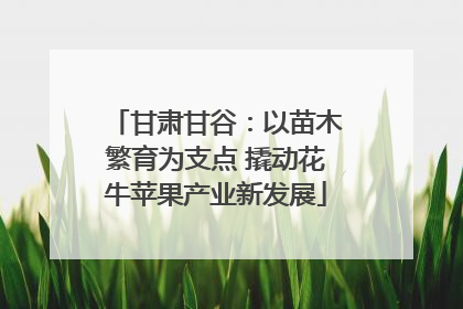 甘肃甘谷：以苗木繁育为支点 撬动花牛苹果产业新发展