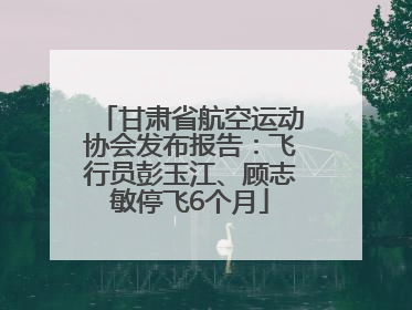 甘肃省航空运动协会发布报告：飞行员彭玉江、顾志敏停飞6个月