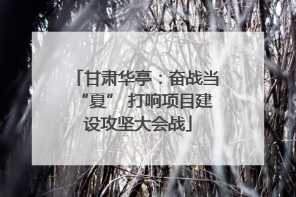 甘肃华亭：奋战当“夏” 打响项目建设攻坚大会战