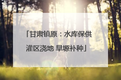 甘肃镇原：水库保供 灌区浇地 旱塬补种