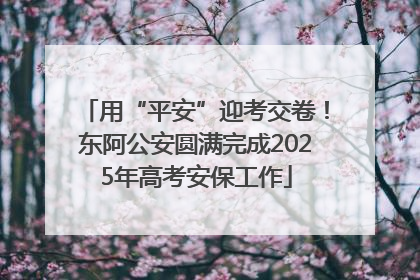用“平安”迎考交卷！东阿公安圆满完成2025年高考安保工作