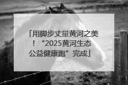 用脚步丈量黄河之美！“2025黄河生态公益健康跑”完成