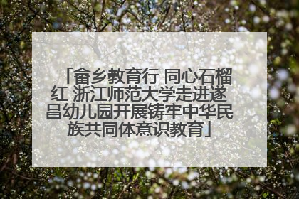 畲乡教育行 同心石榴红 浙江师范大学走进遂昌幼儿园开展铸牢中华民族共同体意识教育
