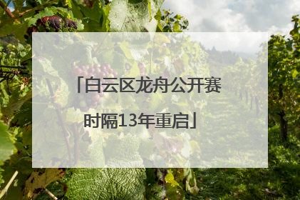 白云区龙舟公开赛时隔13年重启