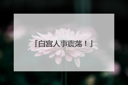 白宫人事震荡！