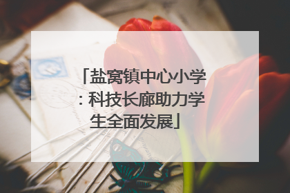 盐窝镇中心小学：科技长廊助力学生全面发展