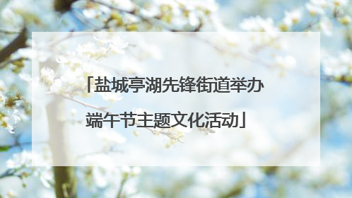盐城亭湖先锋街道举办端午节主题文化活动
