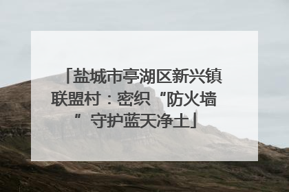 盐城市亭湖区新兴镇联盟村：密织“防火墙”守护蓝天净土