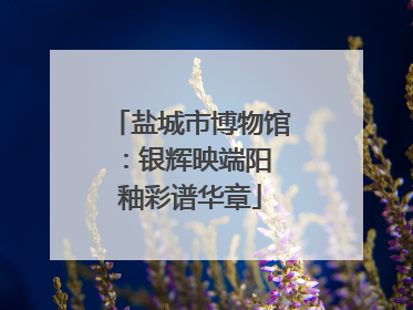 盐城市博物馆：银辉映端阳 釉彩谱华章