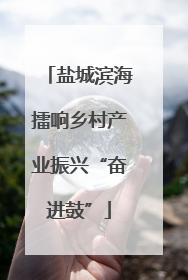 盐城滨海擂响乡村产业振兴“奋进鼓”