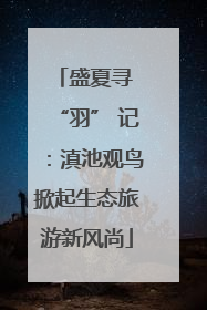 盛夏寻 “羽” 记：滇池观鸟掀起生态旅游新风尚