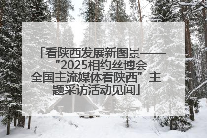 看陕西发展新图景——“2025相约丝博会 全国主流媒体看陕西”主题采访活动见闻