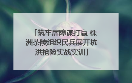 筑牢屏障谋打赢 株洲茶陵组织民兵展开抗洪抢险实战实训