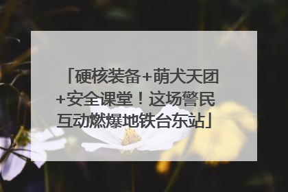 硬核装备+萌犬天团+安全课堂！这场警民互动燃爆地铁台东站