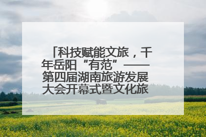 科技赋能文旅，千年岳阳“有范”——第四届湖南旅游发展大会开幕式暨文化旅游推介会侧记
