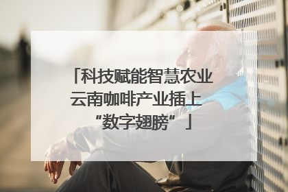 科技赋能智慧农业 云南咖啡产业插上“数字翅膀”