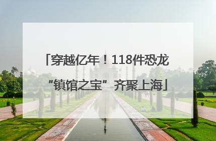 穿越亿年！118件恐龙“镇馆之宝”齐聚上海