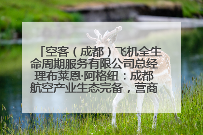 空客（成都）飞机全生命周期服务有限公司总经理布莱恩·阿格纽：成都航空产业生态完备，营商环境优势显著