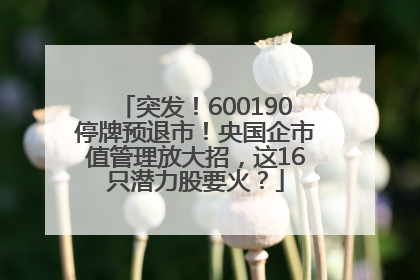 突发！600190停牌预退市！央国企市值管理放大招，这16只潜力股要火？