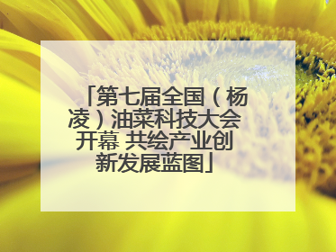 第七届全国（杨凌）油菜科技大会开幕 共绘产业创新发展蓝图