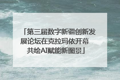 第三届数字新疆创新发展论坛在克拉玛依开幕 共绘AI赋能新图景