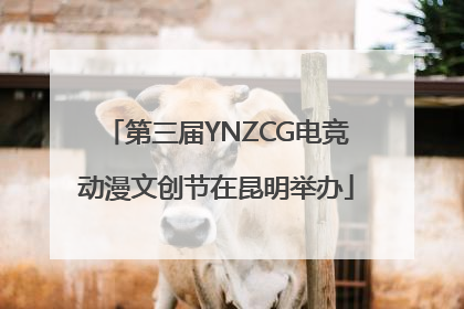 第三届YNZCG电竞动漫文创节在昆明举办