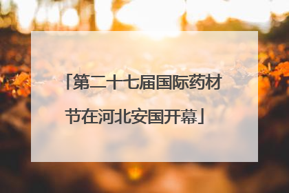 第二十七届国际药材节在河北安国开幕