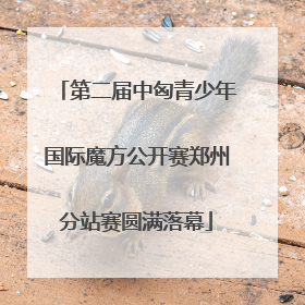 第二届中匈青少年国际魔方公开赛郑州分站赛圆满落幕