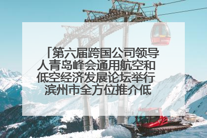 第六届跨国公司领导人青岛峰会通用航空和低空经济发展论坛举行 滨州市全方位推介低空经济发展优势