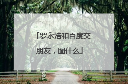 罗永浩和百度交朋友，图什么