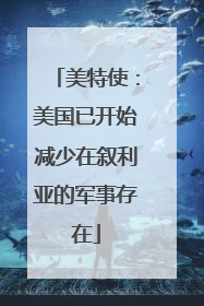 美特使：美国已开始减少在叙利亚的军事存在