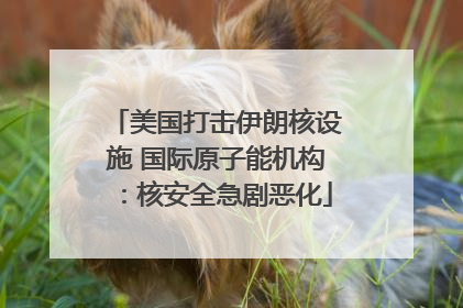 美国打击伊朗核设施 国际原子能机构：核安全急剧恶化