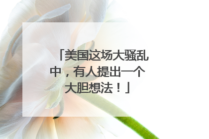 美国这场大骚乱中，有人提出一个大胆想法！
