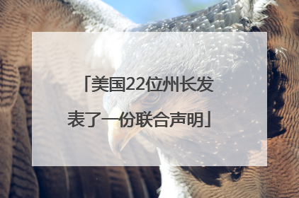 美国22位州长发表了一份联合声明