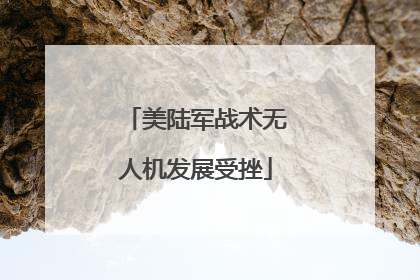 美陆军战术无人机发展受挫