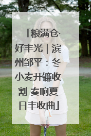 粮满仓·好丰光｜滨州邹平：冬小麦开镰收割 奏响夏日丰收曲