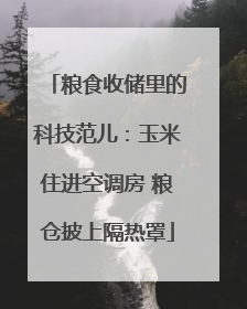 粮食收储里的科技范儿：玉米住进空调房 粮仓披上隔热罩