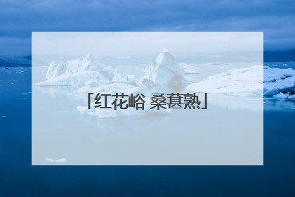 红花峪 桑葚熟