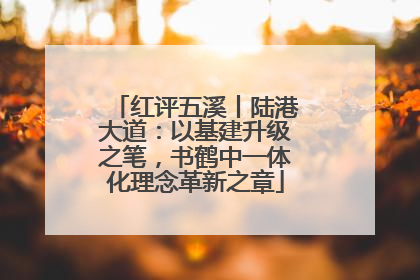 红评五溪丨陆港大道：以基建升级之笔，书鹤中一体化理念革新之章